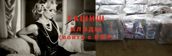 гидра Заводоуковск