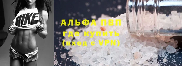 гидра Заводоуковск