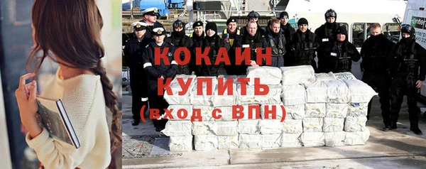 гидра Заводоуковск