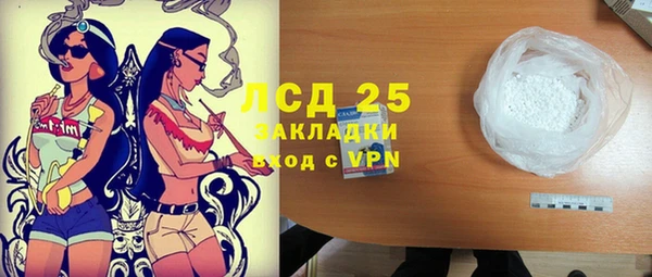 гидра Заводоуковск