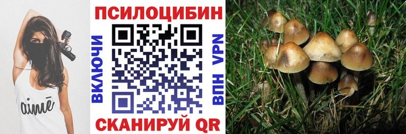 Псилоцибиновые грибы Magic Shrooms  Купить где  Верхняя Тура 